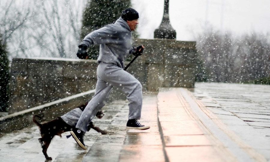 Training scenes in Rocky films 5