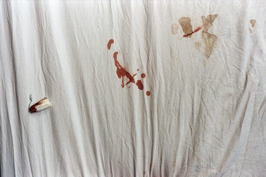 Sofiya Loriashvili, My Book (2024) 11