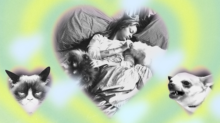 HowToDateWhen_Pets