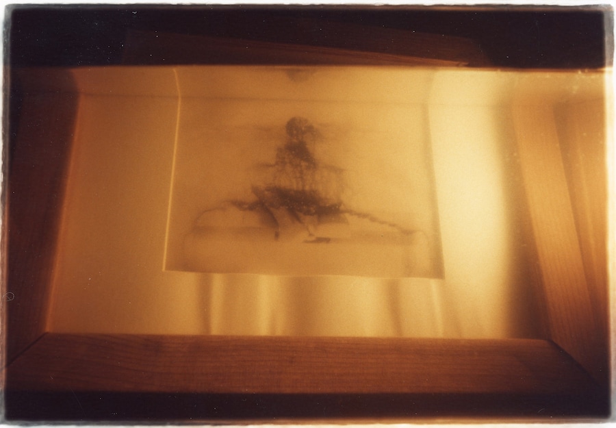 Yuhan Cheng, 窗子外 Outside the Window, Inside the Tank 鱼缸里 30