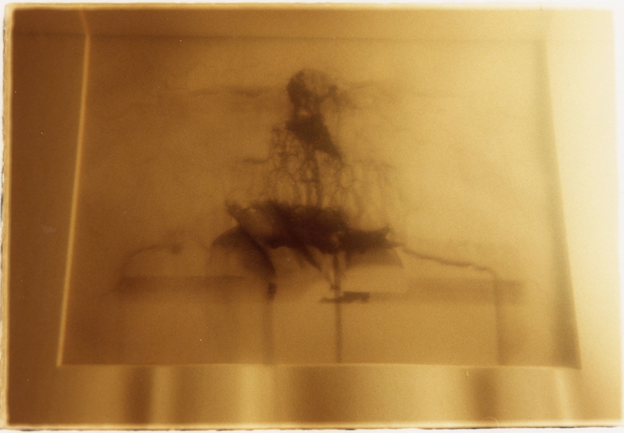 Yuhan Cheng, 窗子外 Outside the Window, Inside the Tank 鱼缸里 31