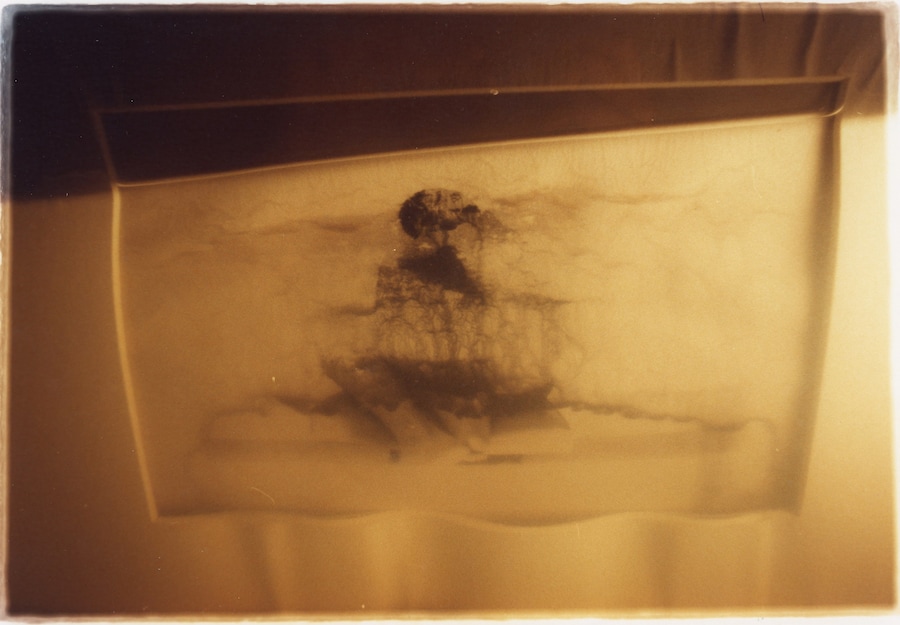 Yuhan Cheng, 窗子外 Outside the Window, Inside the Tank 鱼缸里 33