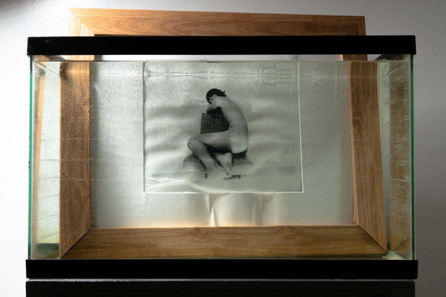 Yuhan Cheng, 窗子外 Outside the Window, Inside the Tank 鱼缸里 29