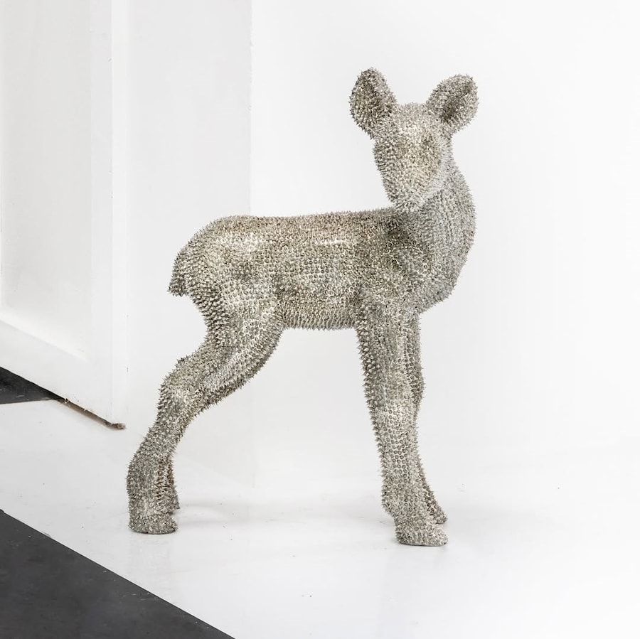 469648635_1284758259511027_9117345444573461552_n 4