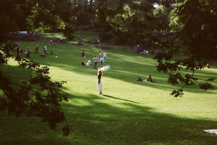 NYT_perla_vape_central_park 32