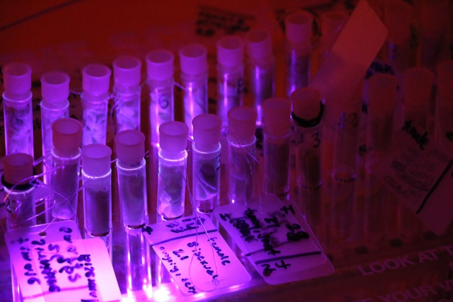 Scent of Connection 6