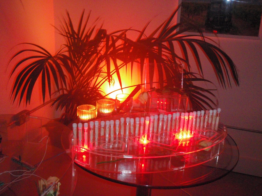 Scent of Connection 10