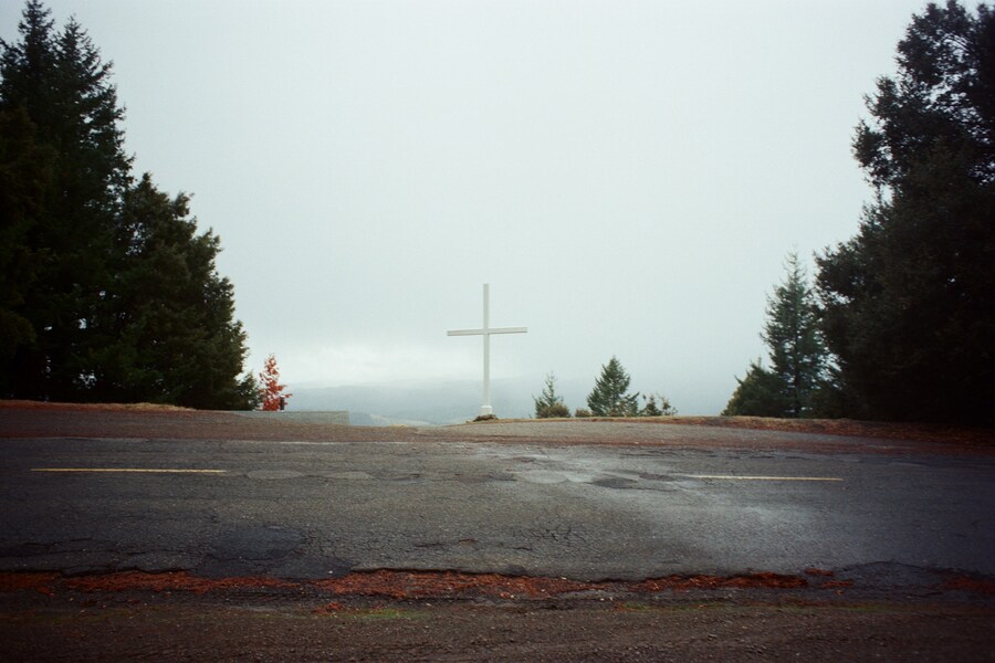 Sophia Cutino, Diaries of a Wet Bird 2