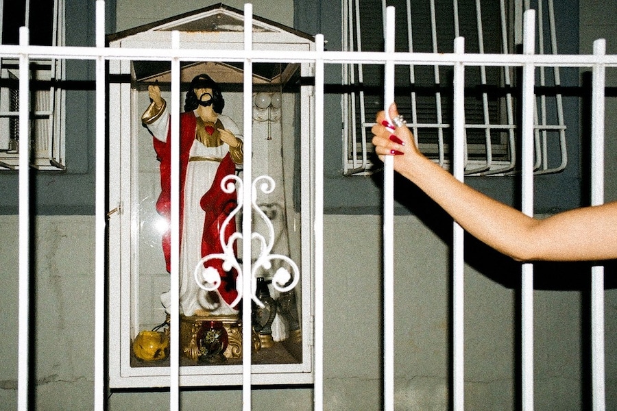 Sophia Cutino, Diaries of a Wet Bird 8