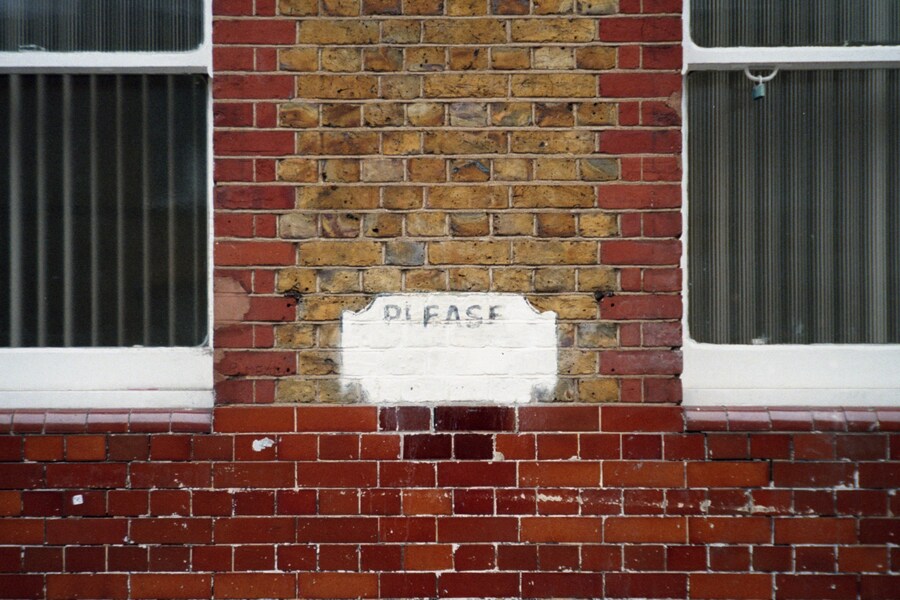 Sophia Cutino, Diaries of a Wet Bird 4