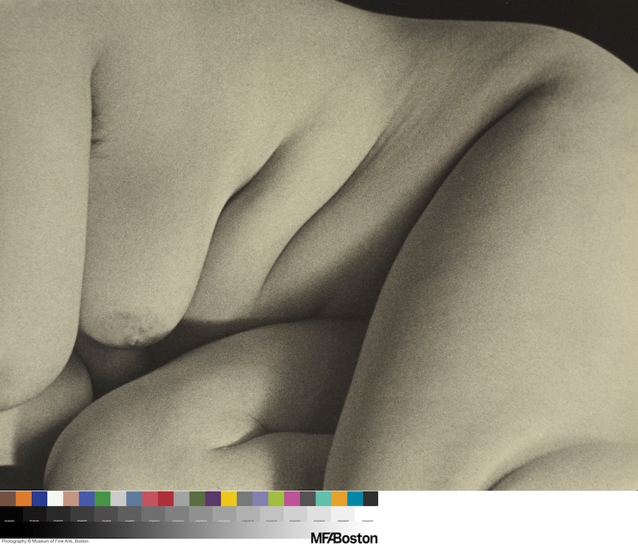 American Photography 6