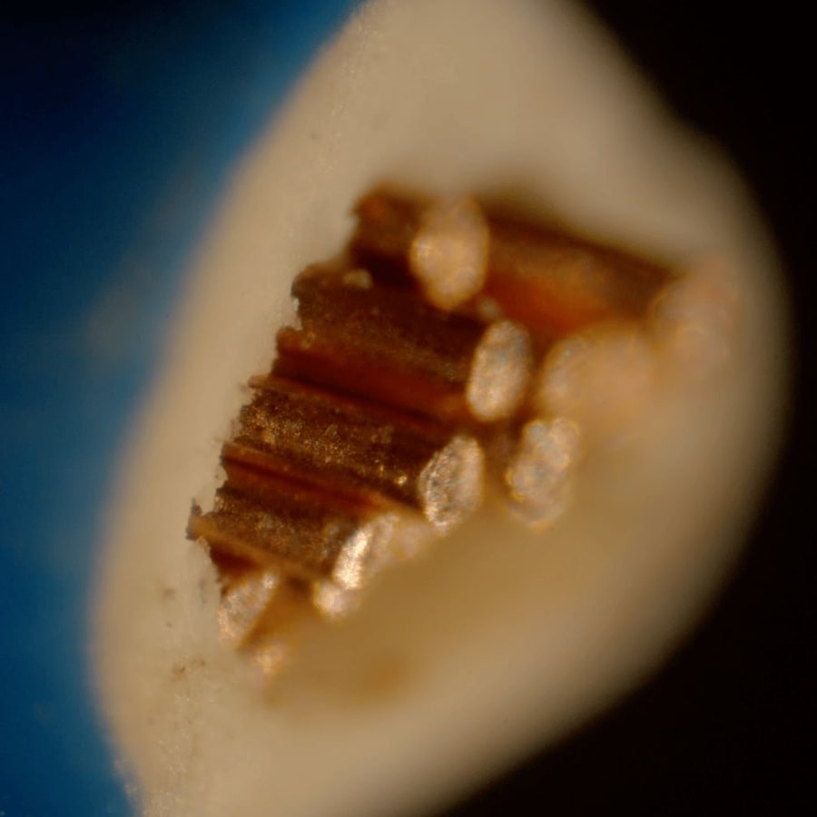 Laure Prouvost, We Felt A Star Dying (2025) 16