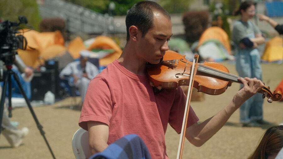 Violin 6