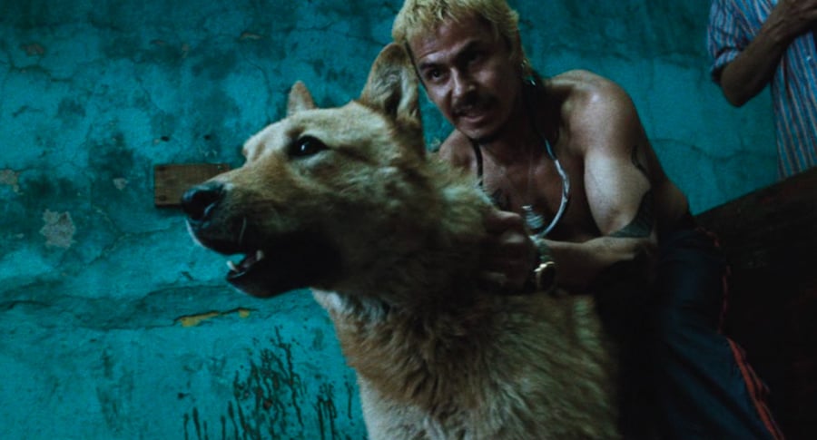 &#169; Alta Vista Films, from Amores Perros (MACK, 2025 1