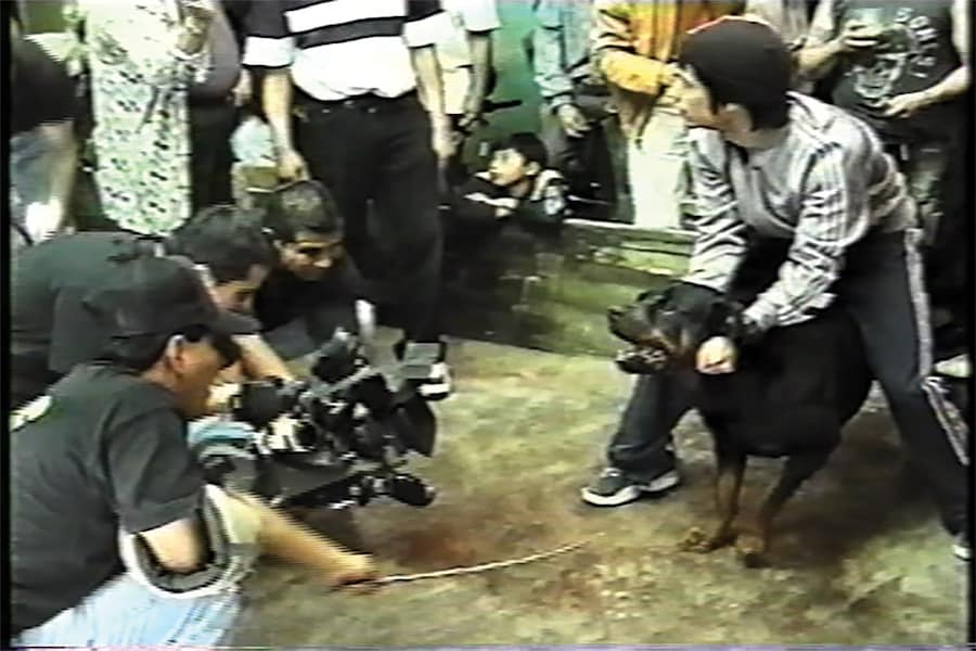 &#169; Fernando Llanos, from Amores Perros (MACK, 2025) 7