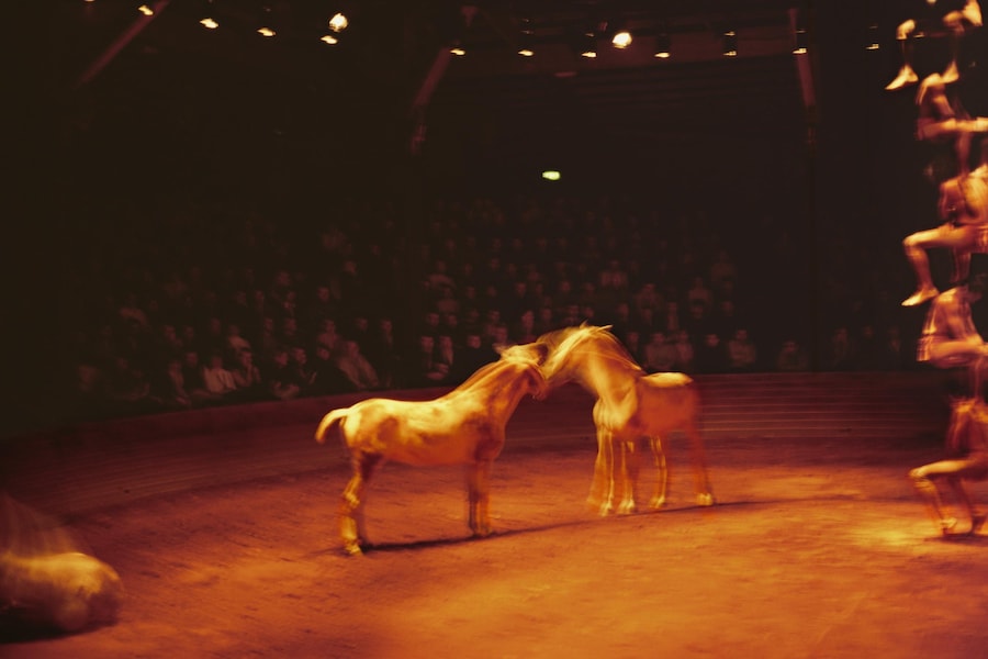 WEBRES_Horse Circus, Paris, 2004 &#169; Nan Goldin