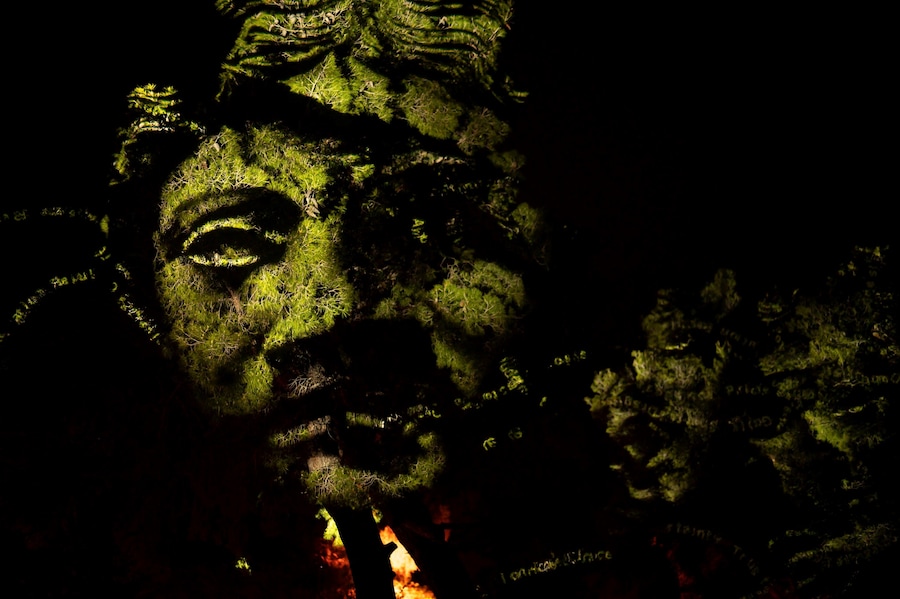 Charles Sandison, The Garden of Pythia 11