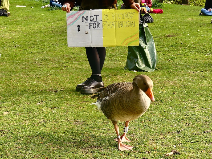 Duck at the trans protest 3