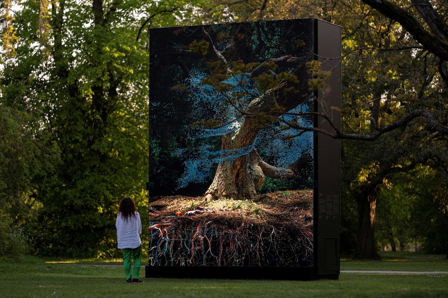 Of the Oak, Marshmallow Laser Feast, Kew Gardens 5