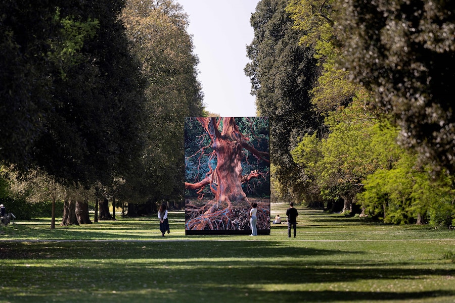 Of the Oak, Marshmallow Laser Feast, Kew Gardens 6