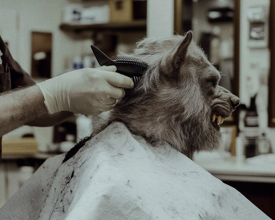 Mane Character Syndrome, FAIK Magazine, 2025 5
