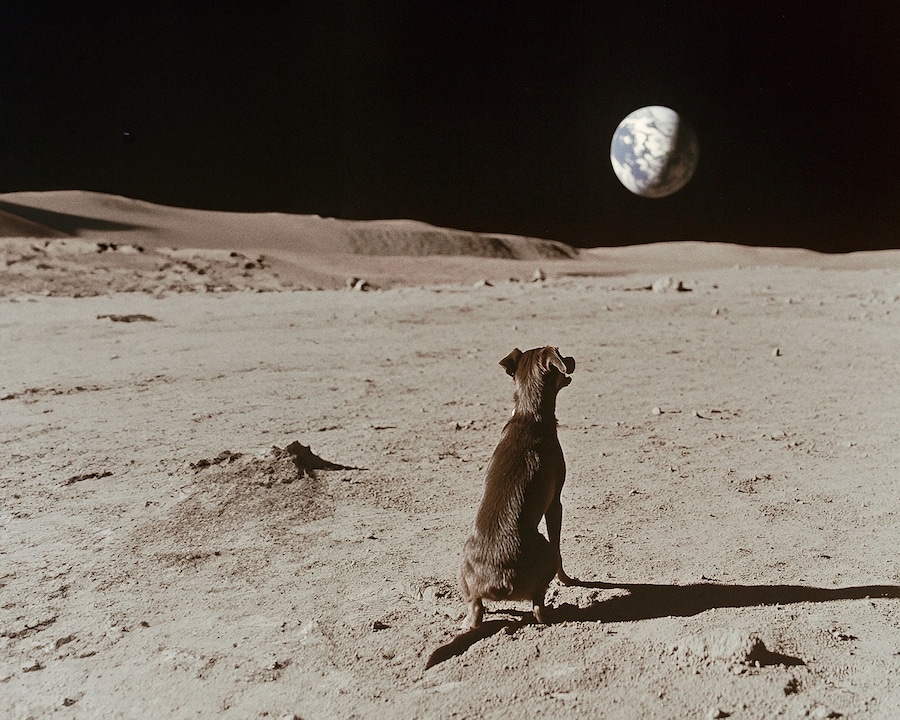 Earth Is a Ball, FAIK Magazine, 2025 6