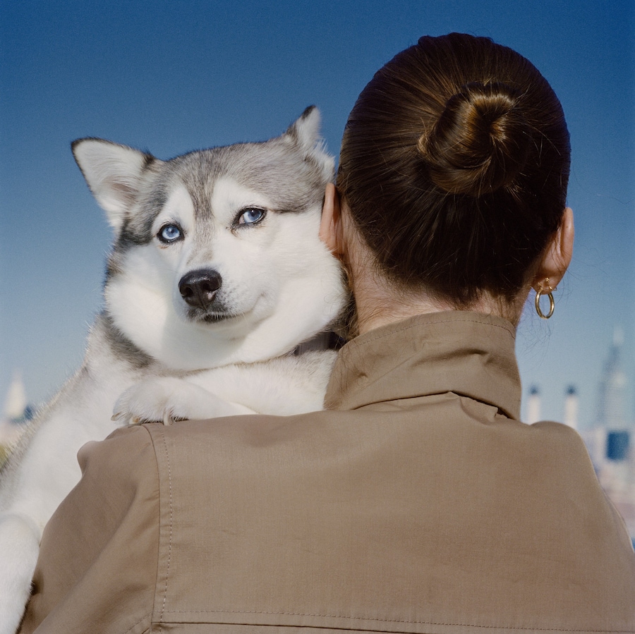 Konomad Journal’s Forest of Dreams and Sleep 11