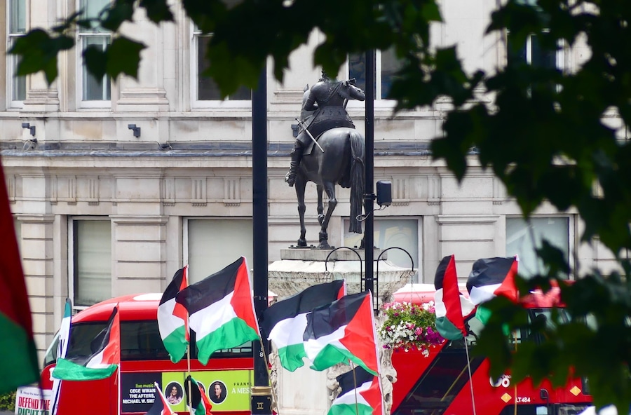 Palestine Action 1 0