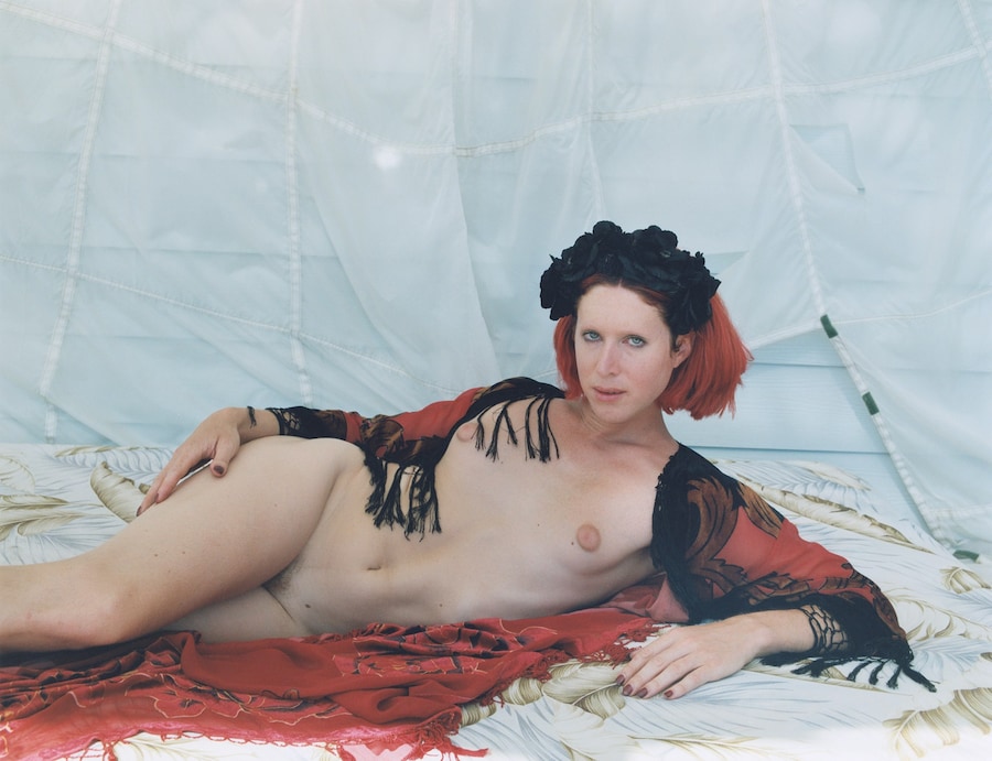Nick Haymes, Dancing on the Fault Line 9