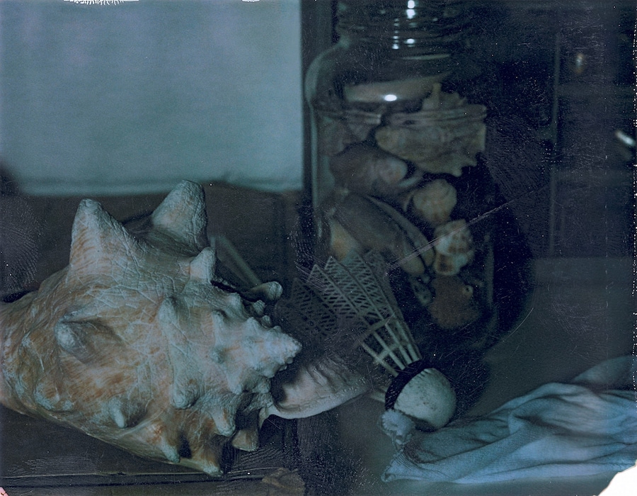 Roe Ethridge, Shells (Note Note Editions, 2025). 2