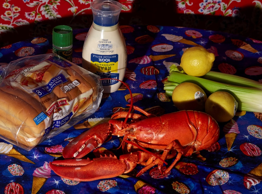 Roe Ethridge, Shells (Note Note Editions, 2025). 3
