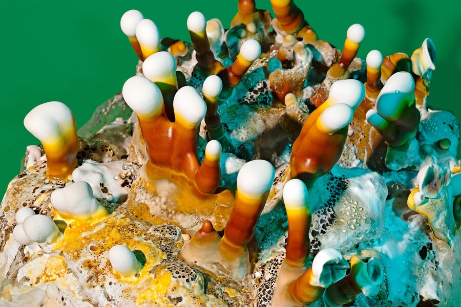 Phyllis Ma, Mushrooms &amp; Friends #4 (self-published, 2025). 1