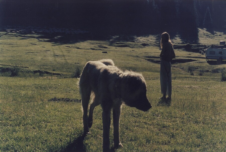  Clutching at Ornaments 5