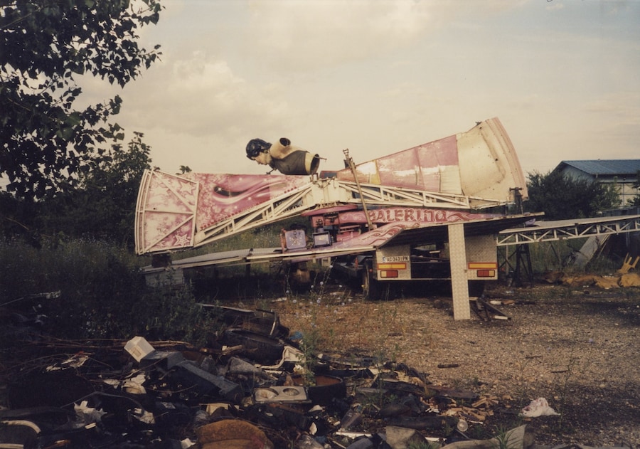  Clutching at Ornaments 6