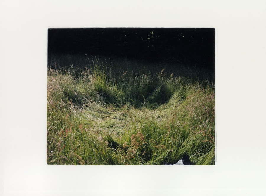  Clutching at Ornaments 13