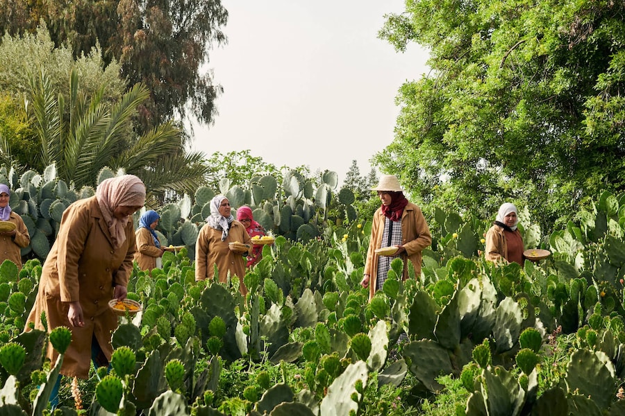 Ourika Community Gardens