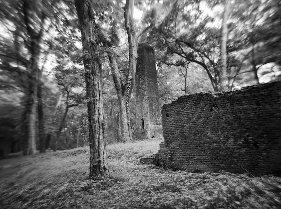 Sally Mann, Art Work: On the Creative Life 10