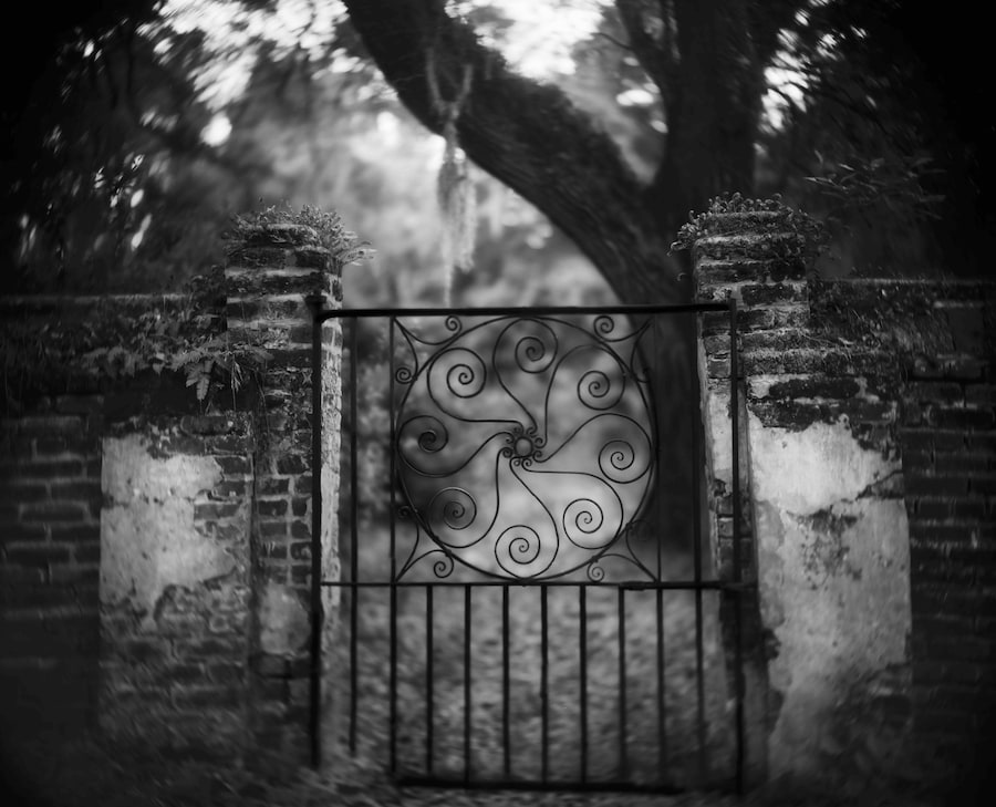 Sally Mann, Art Work: On the Creative Life 11