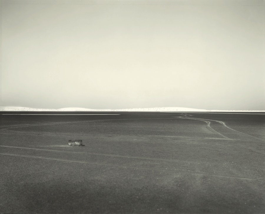 Sally Mann, Art Work: On the Creative Life 12