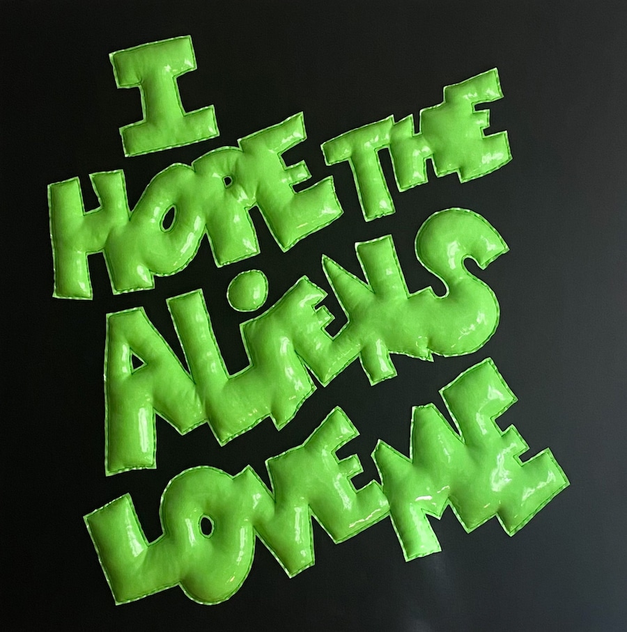 I Hope The Aliens Love Me 2