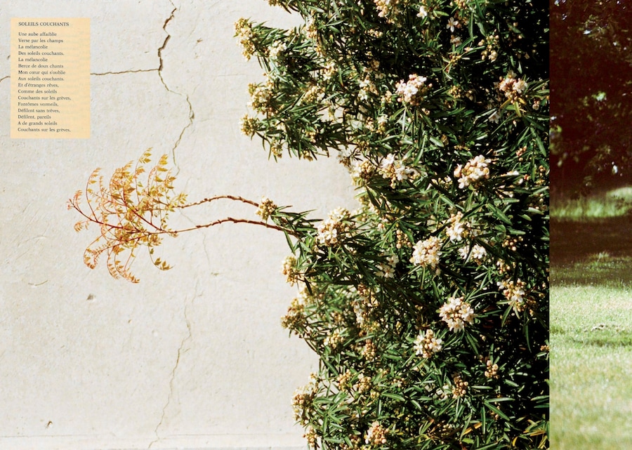 The Dream Life of Angels Zine 6