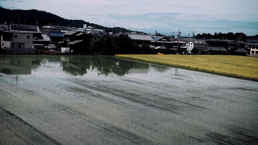 横丁 (Yokochō) 25