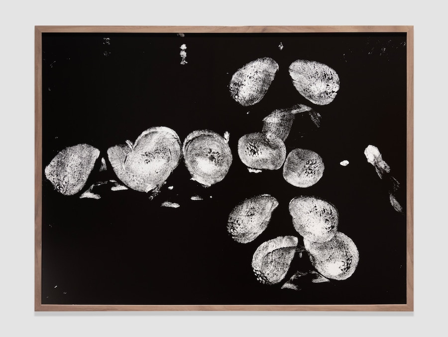 Company, Frieze 2025 4