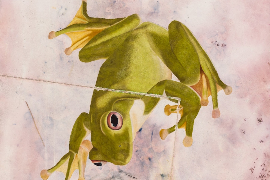 Rose Easton, Frieze 225 8