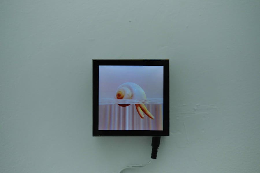 Josilda da Conceição_Quintus Glerum_Through Cycl 10