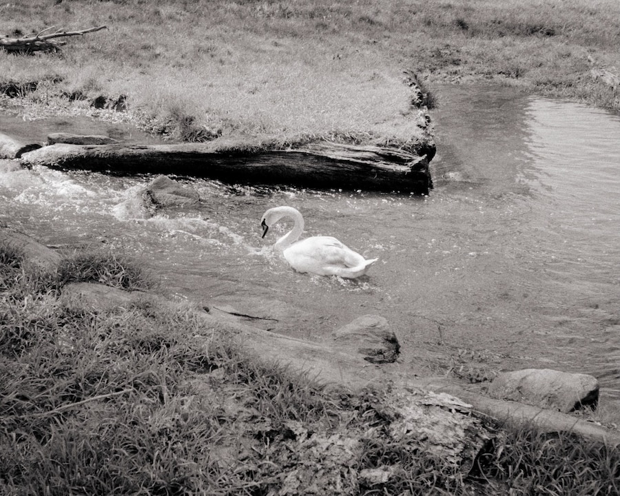 Maximilian Kilworth, A Summer Built on Softness 2