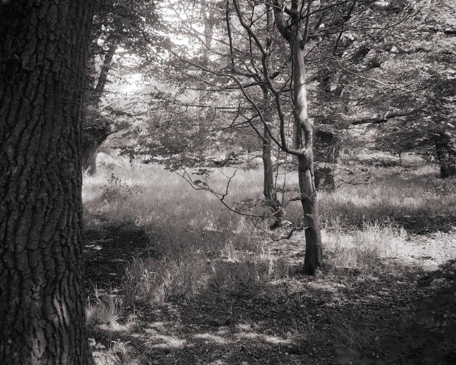 Maximilian Kilworth, A Summer Built on Softness (2025) 0