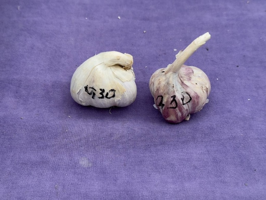 Juergen Teller, You Are Invited, exhibition, Athens, Onassis 17