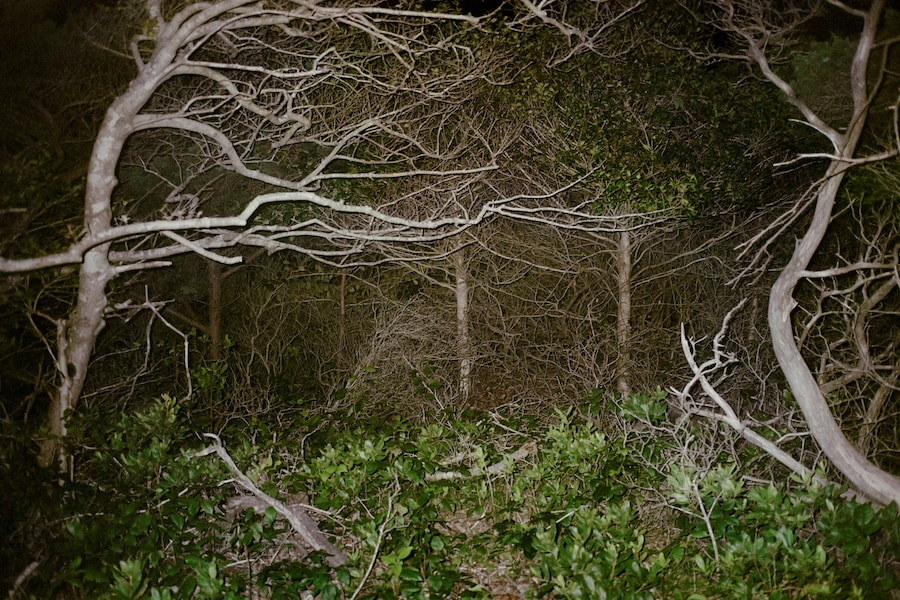 Sam Penn, Max Battle, exhibition, New York Life Gallery 4