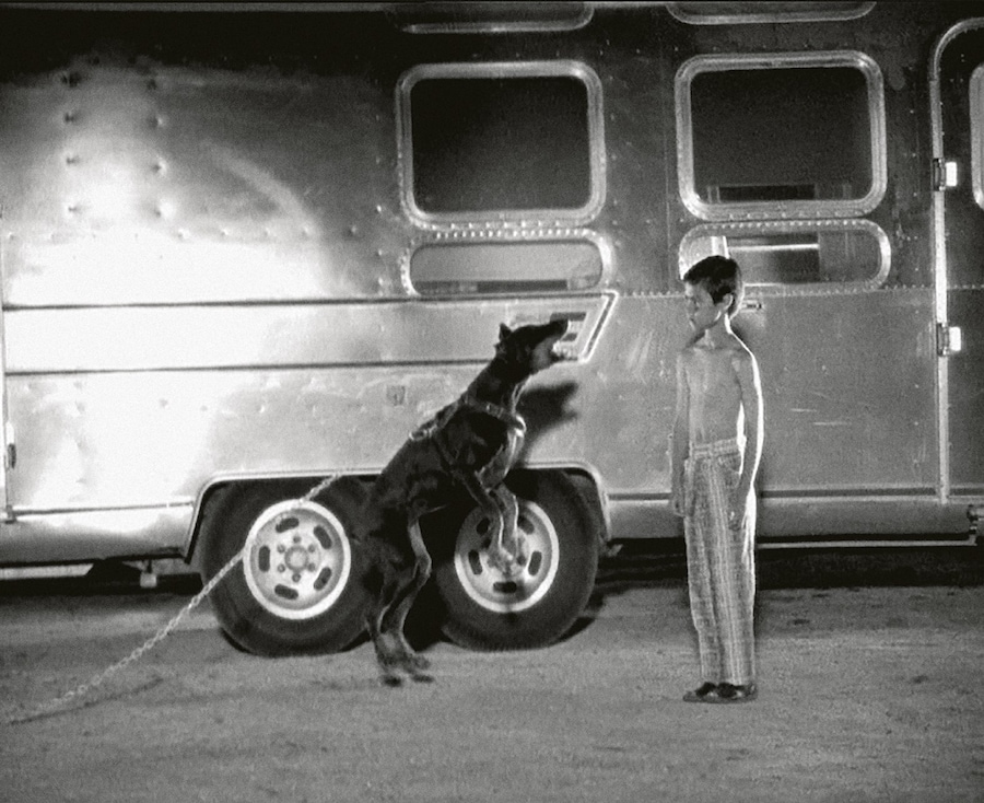 Jonathan Glazer, Radiohead, Street Spirit (Fade Out) (1996) 2